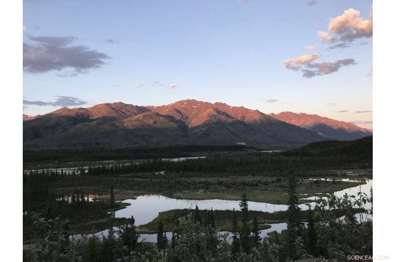 Half of Earth s Land Remains Relatively Intact Despite Global Human Impact