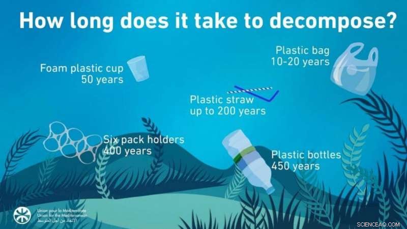 Understanding the Enduring Impact of Plastic: Its Multiple Lifespans