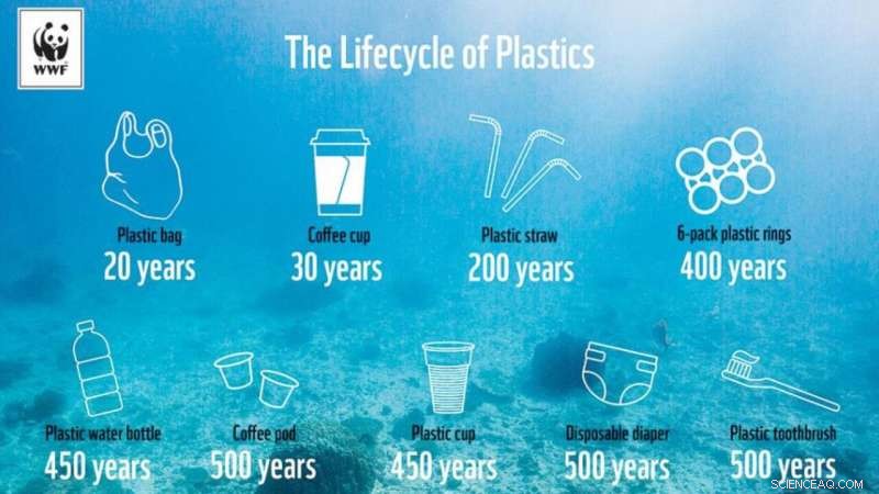 Understanding the Enduring Impact of Plastic: Its Multiple Lifespans