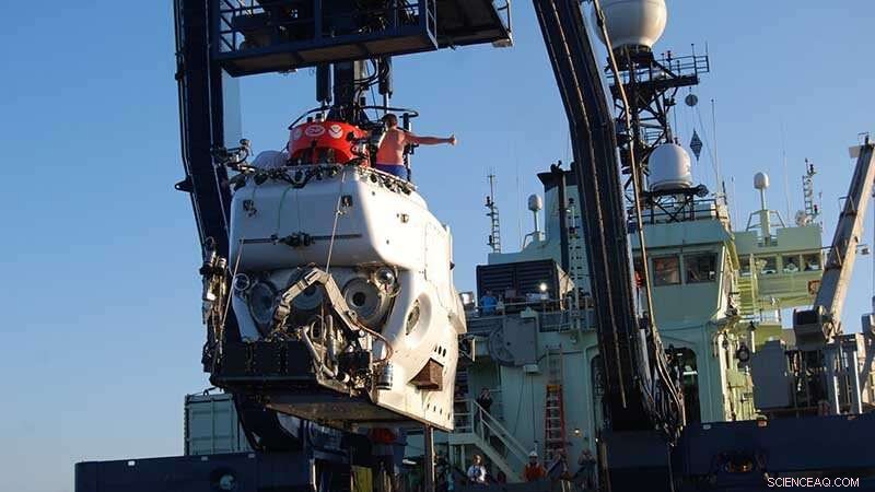 Marine Scientist Warns Deep-Sea Mining Could Reduce Ocean’s CO2 Absorption, Threatening Ecosystems