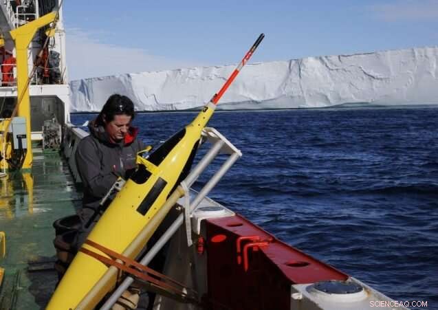 Refining Antarctic Ice Loss Forecasts and Global Sea‑Level Rise Projections