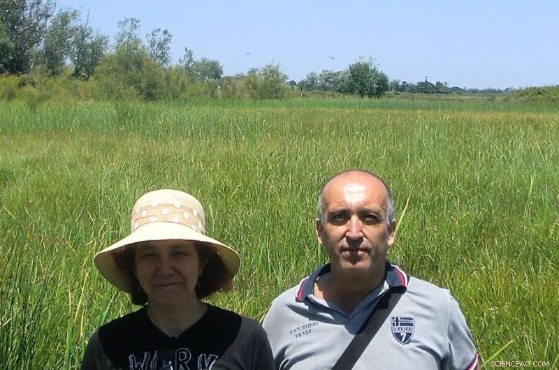 Carpet Shell Clams Highlight Severe Pollution in Tunisian Coastal Lagoons