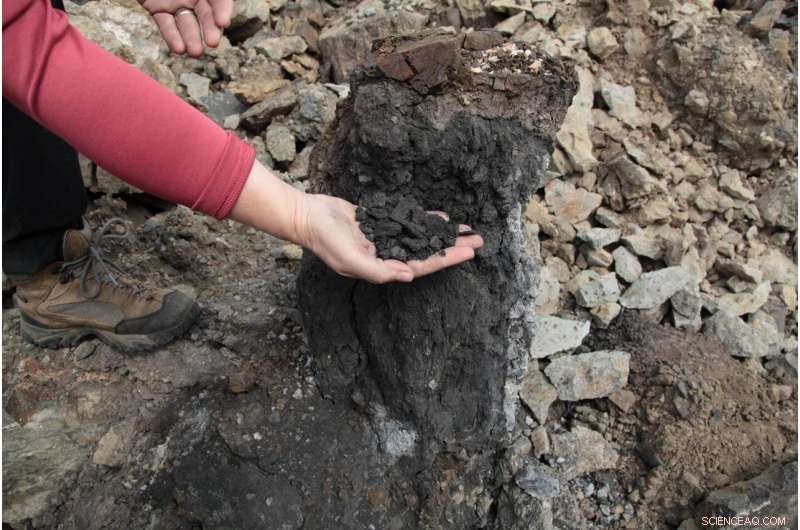 Siberian Coal Fires 250 Million Years Ago Triggered Global Climate Shift