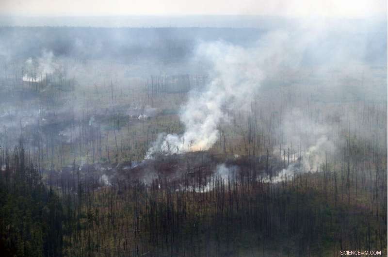 Massive Siberian Forest Fires Threaten Public Health
