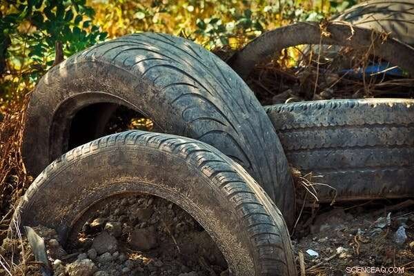 Why Waste Still Plays a Crucial Role in a Circular Economy