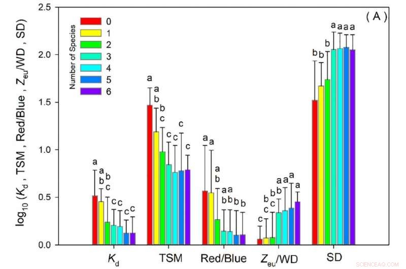 Biodiversity in Stagnant Shallow Lakes Restricts Aquatic Plant Growth – New Study Findings