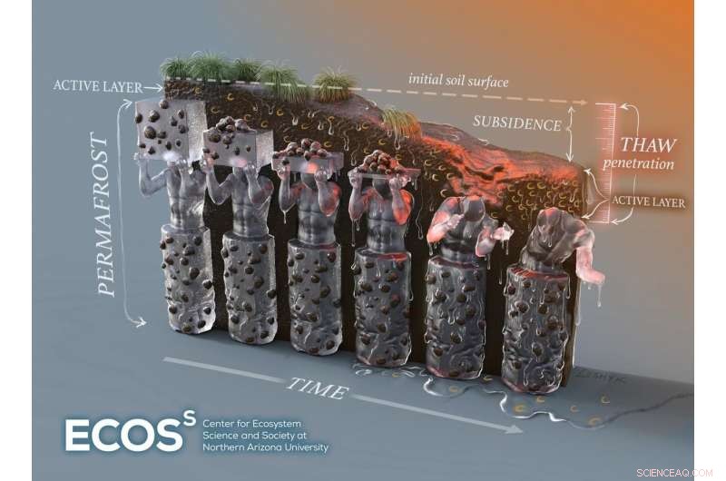 Vulnerable Carbon Stocks Double with Permafrost Subsidence Factored In