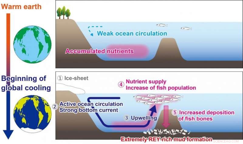 Fossilized Fish Reveal Potential Rich Deposits of Valuable Rare‑Earth Metals