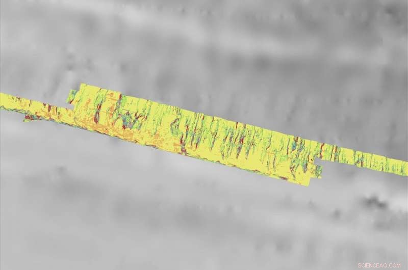 Unveiling Deep-Sea Biodiversity: Hydroacoustic Mapping Reveals Rich Seafloor Life