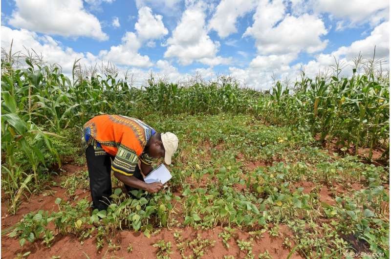 Nigerian Farmers Unaware of Their Climate Impact – Only 14% Know