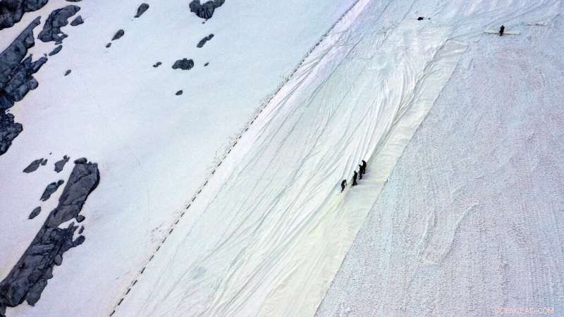 Italian Alps: Tarpaulins Shield Presena Glacier from Summer Melting