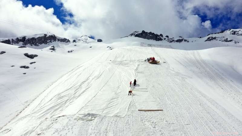 Italian Alps: Tarpaulins Shield Presena Glacier from Summer Melting