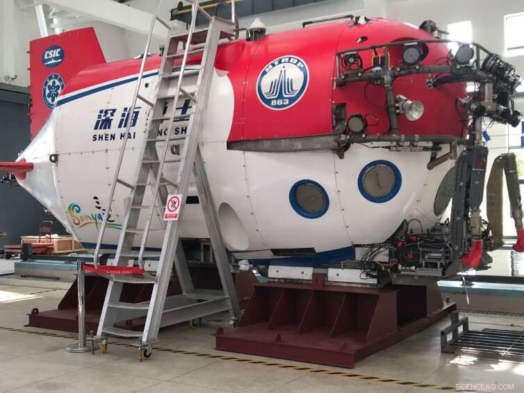 Human-Derived Mercury Detected in the Deepest Ocean Trenches, Raising Environmental Concerns