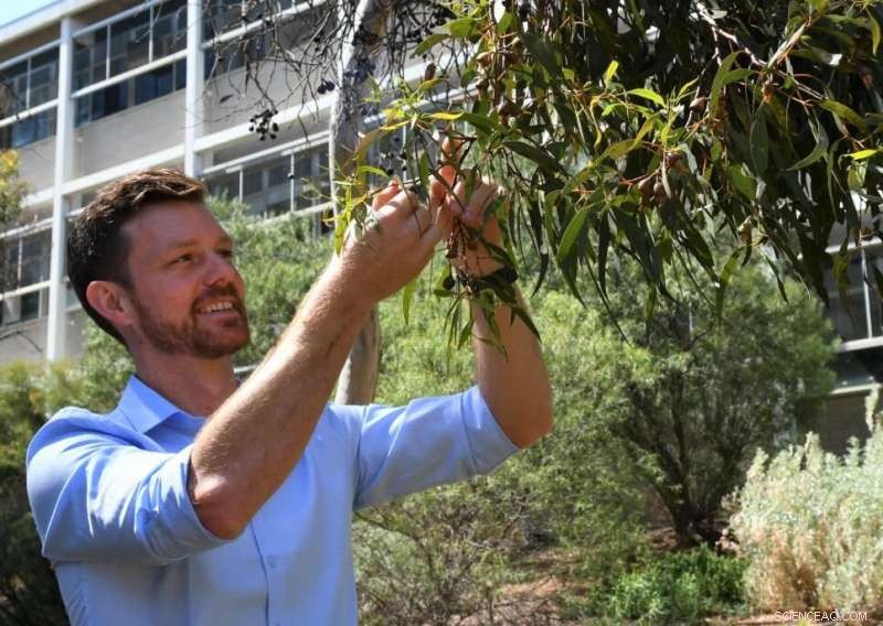 Improve Your Health by Connecting with Nature