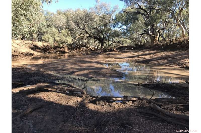 Sediment Transit Delays Distort Environmental Signals in Australia s Murray‑Darling River System
