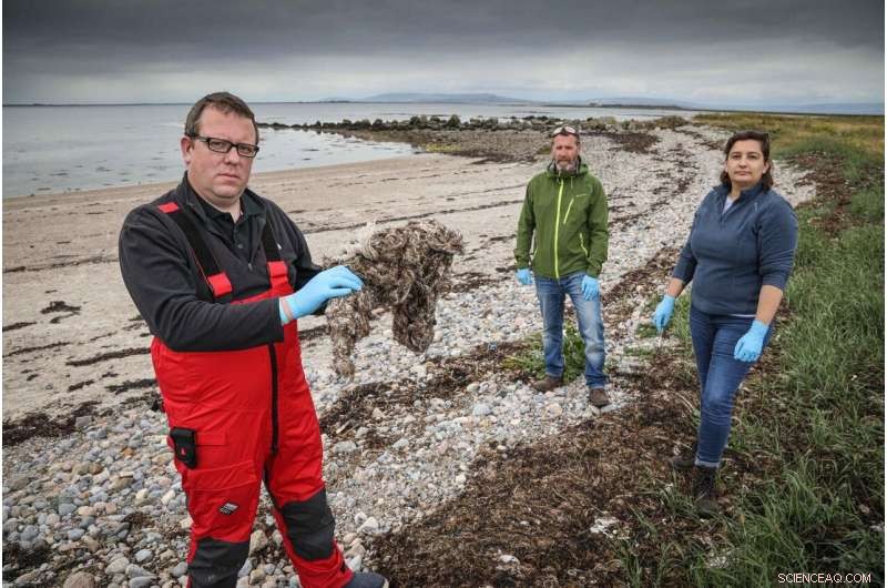 Microplastic Threat: Wet Wipes and Sanitary Products Detected in Irish Waters