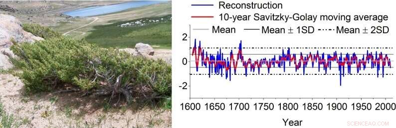 Revealing Past Spring Hydroclimate on the Tibetan Plateau Through Alpine Juniper Shrubs