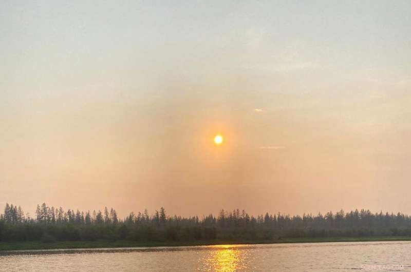 Arctic Heatwave Alarm: Siberia Records Unprecedented 38°C, Prompting Global Climate Response