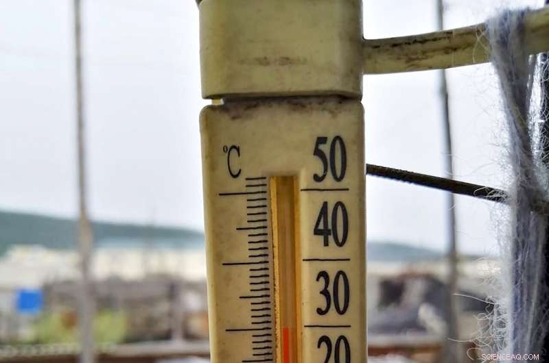 Arctic Heatwave Alarm: Siberia Records Unprecedented 38°C, Prompting Global Climate Response