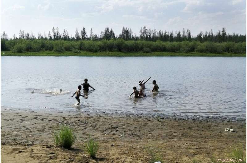 Arctic Heatwave Alarm: Siberia Records Unprecedented 38°C, Prompting Global Climate Response