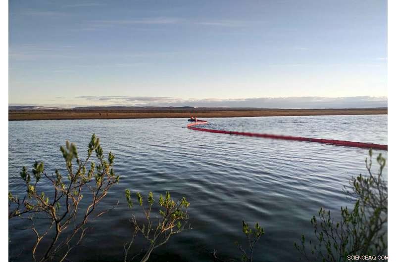 Arctic Heatwave Alarm: Siberia Records Unprecedented 38°C, Prompting Global Climate Response