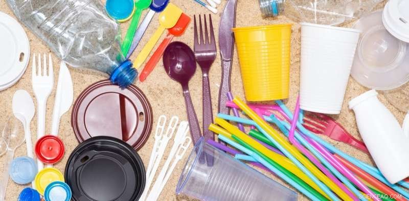 Rebuilding Plastic-Free Habits Post‑COVID: A Guide to Sustainable Living
