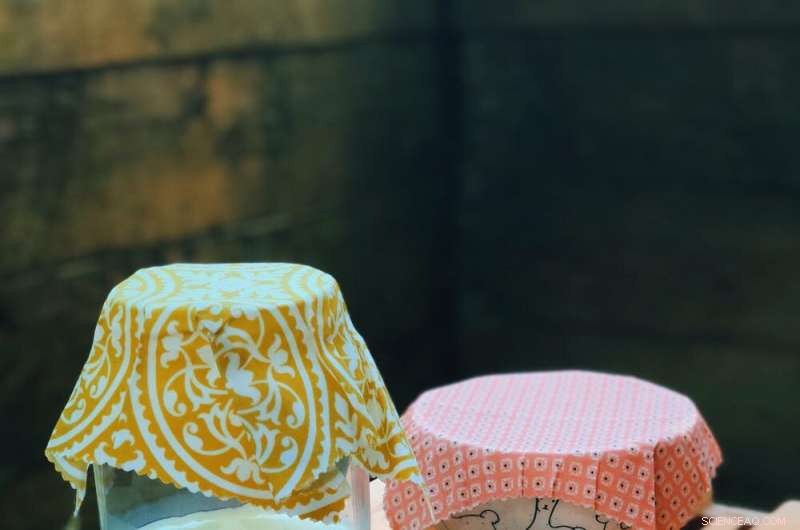 Rebuilding Plastic-Free Habits Post‑COVID: A Guide to Sustainable Living