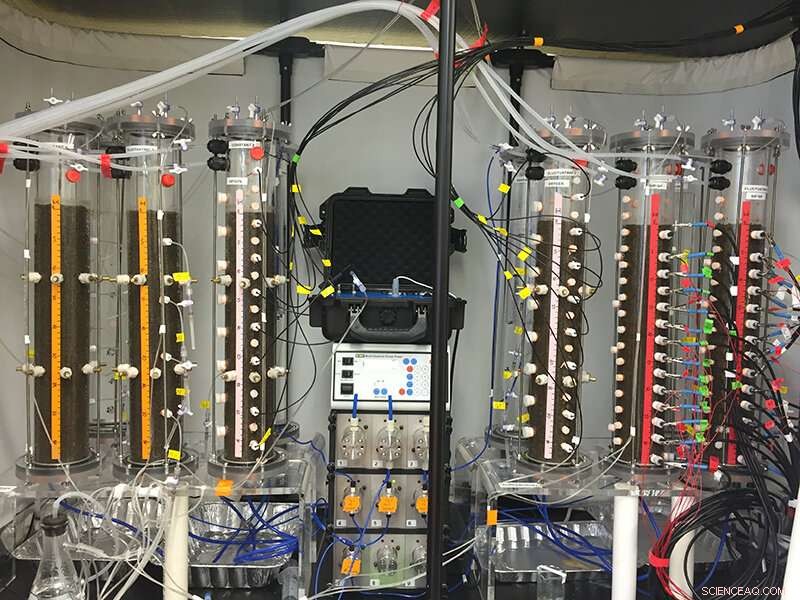 Understanding Carbon Cycling in Waterlogged Soils: Insights from Controlled Experiments