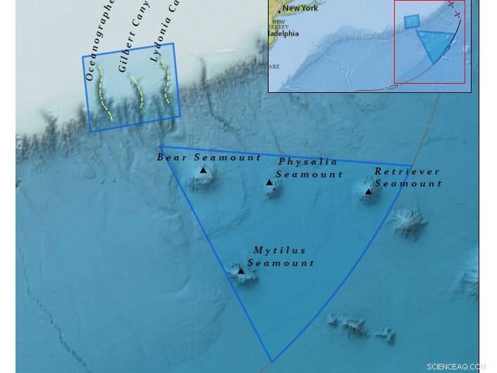 How COVID-19’s Long-Term Impact Shapes Climate Change: Positive and Negative Outcomes