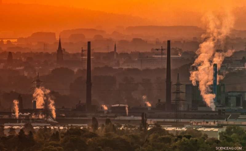 How Traffic, Wind, and Air Stratification Shape Nitrogen Dioxide Levels