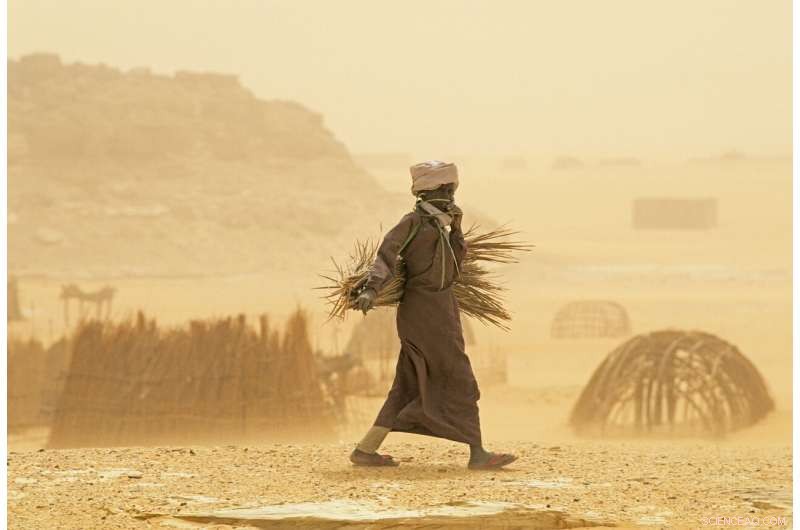 New Study Links Air Pollution to Infant Mortality, Urging Immediate Action