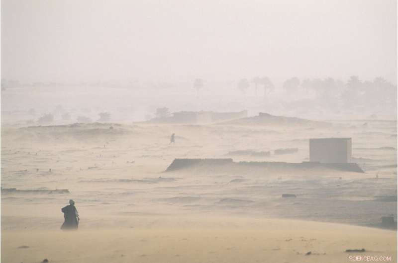 New Study Links Air Pollution to Infant Mortality, Urging Immediate Action