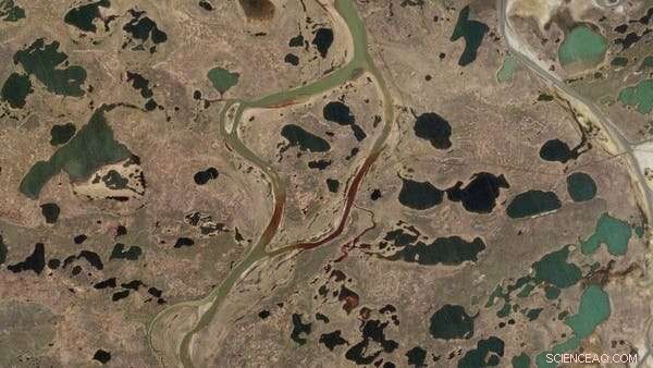 Five Key Patterns in the Extreme Arctic Heat Wave