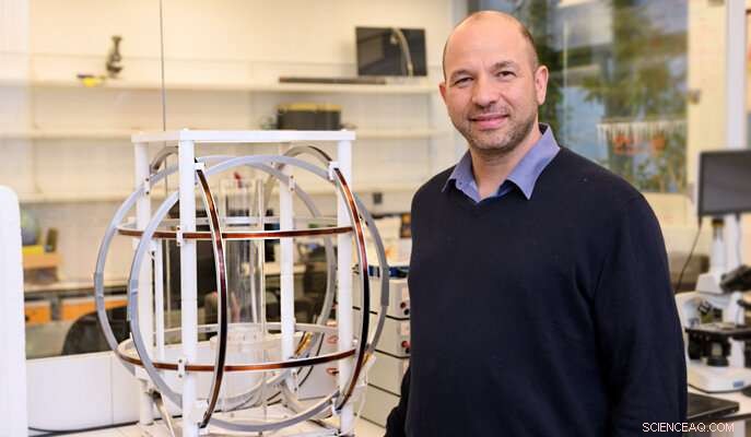 Exploring Ice’s Magnetic Record: Decoding Earth’s Past