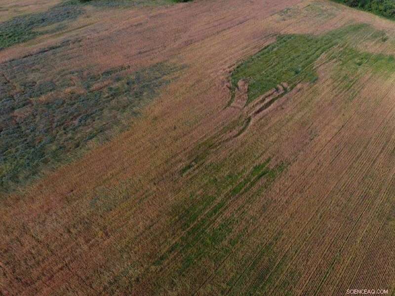 GPS Technology Transforms Modern Agriculture