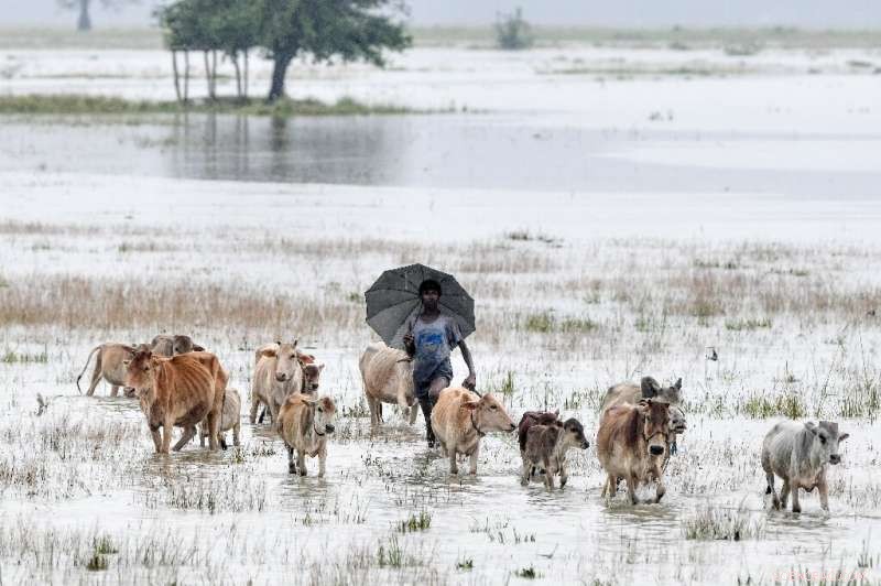 India Monsoon Floods: Over 1 Million Affected, 13 Reported Deaths