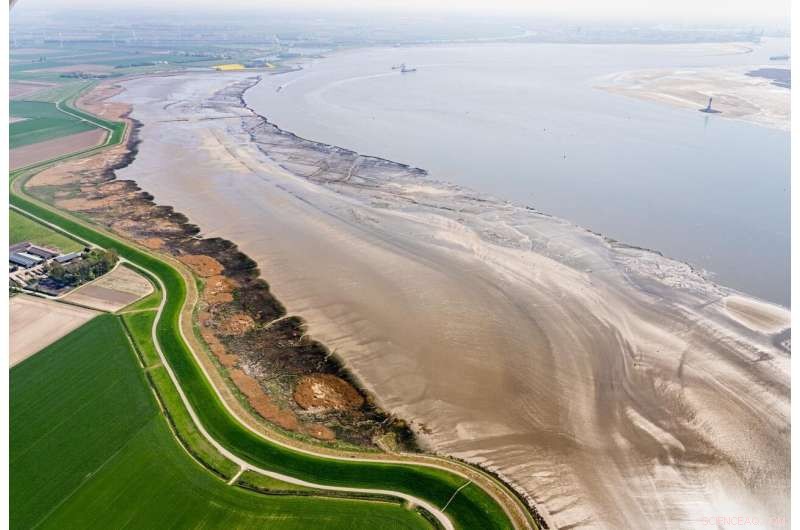 Historic Floods Show Salt Marshes as Life‑Saving Coastal Defenses
