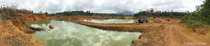 Gold Mining Undermines Amazon Recovery, Slowing Forest Regrowth