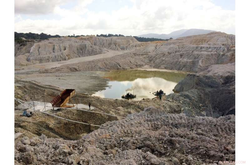 Gold Mining Undermines Amazon Recovery, Slowing Forest Regrowth