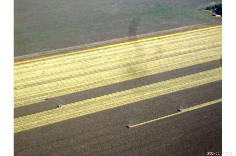 Deforestation Threatens Brazil s Corn Production: Yield Declines