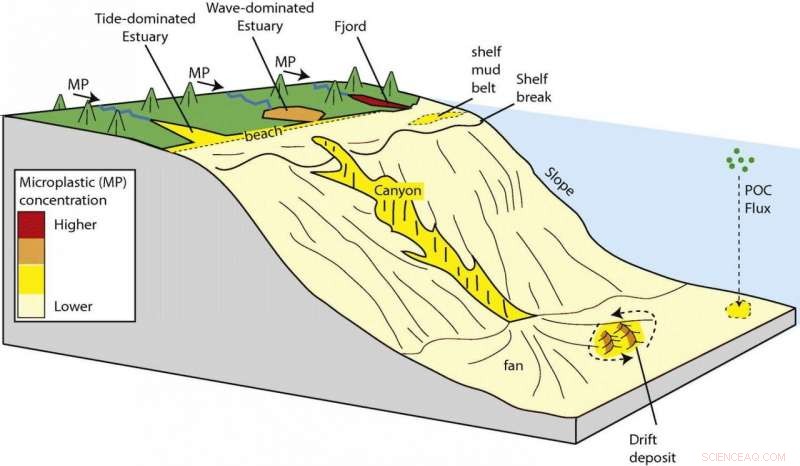 Microplastic Accumulation in Coastal Fjords and Estuaries: A Comprehensive Overview