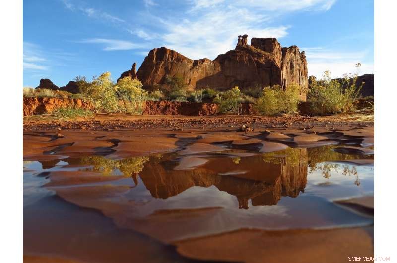 Human‑Induced Climate Change Drives Global Shifts in Terrestrial Water Availability