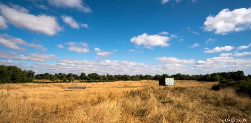 Heatwaves on the Rise: Two Extra Hot Days per Decade Since 1950 – The Future Threats