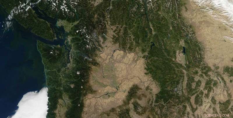 Predictable Slow Earthquakes in Cascadia: Insights and Implications