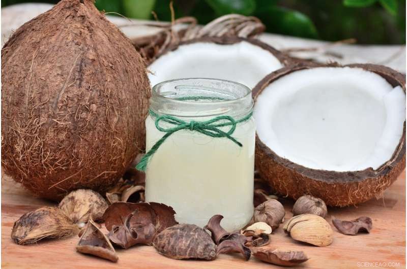 Coconut Oil Production: A Hidden Environmental Hazard