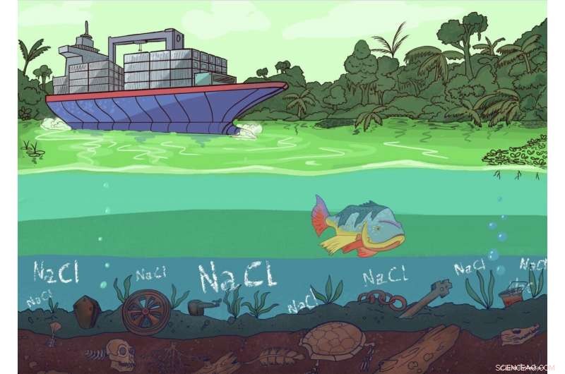 Long-Term Impact of Damming the Chagres River on Panama Canal Ecosystems