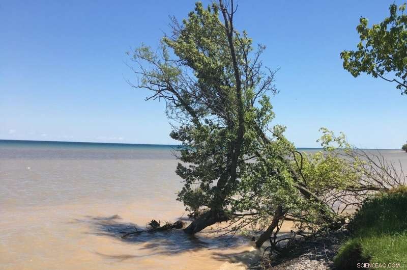 Record‑High Water Levels Threaten Numerous Great Lakes State Parks, Study Finds