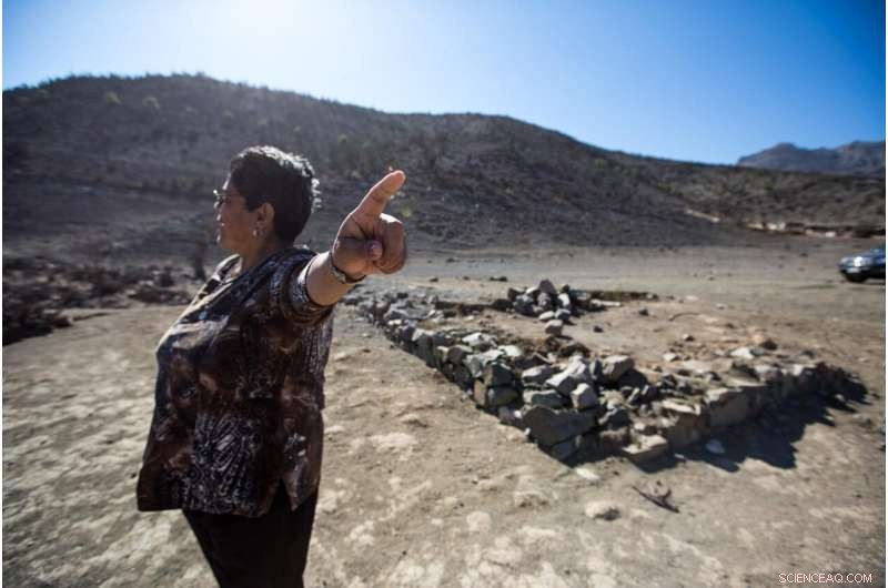 Tree Rings Reveal Unprecedented Surge in Extreme Weather Across South America