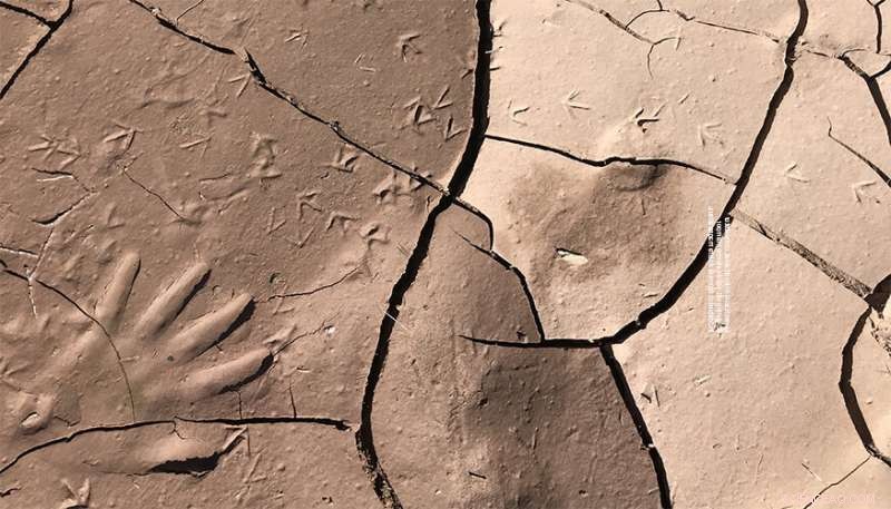 Rising Greenhouse Gas & Particulate Emissions Intensify Global Regional Drought