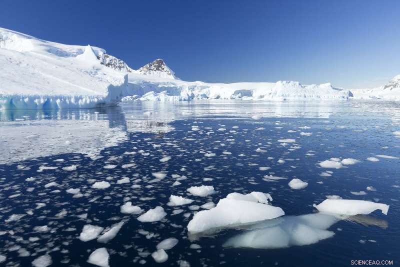 Ancient Antarctic Ice Reveals Marine Life, Solving a Carbon Dioxide Puzzle from the Ice Age